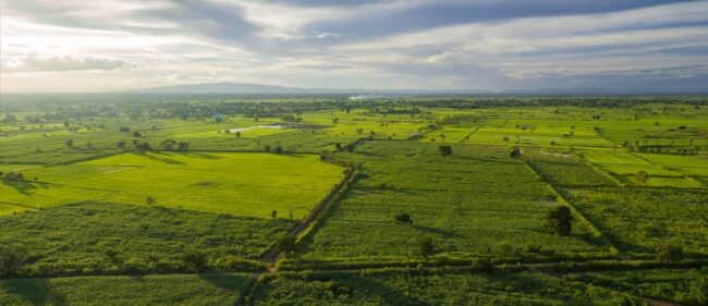 Sell Your Wisconsin Property Quickly With Land Boss