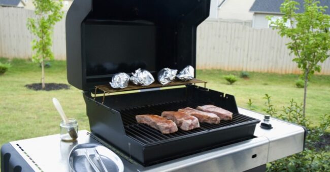 The Best Kamado Grills
